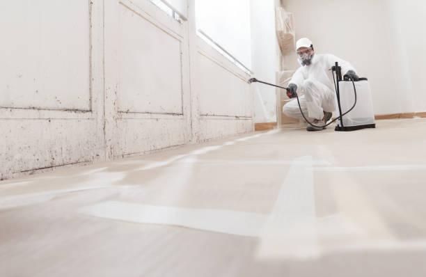 24/7 Emergency Commercial Mold Remediation experts in Canton, GA
