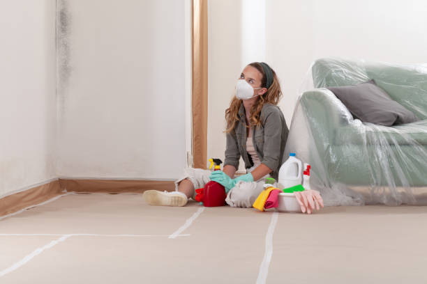 Reliable Commercial Mold Remediation contractor in Canton, GA by 24 Hour Mold Removal